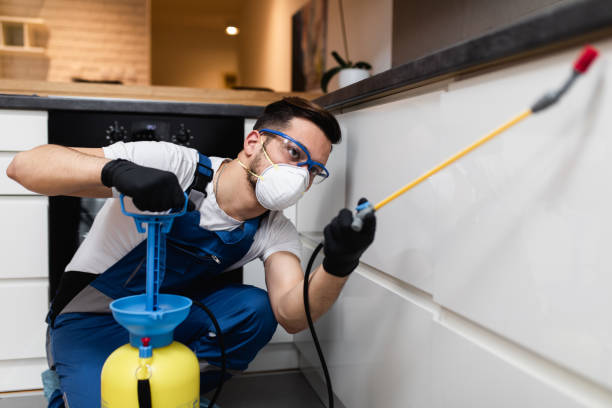 Best Best Pest Control Companies  in Sand Hill, PA