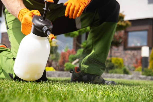 Best Pest Prevention Services  in Sand Hill, PA