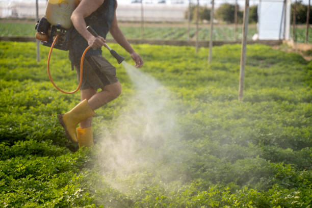 Best Affordable Pest Control Services  in Sand Hill, PA