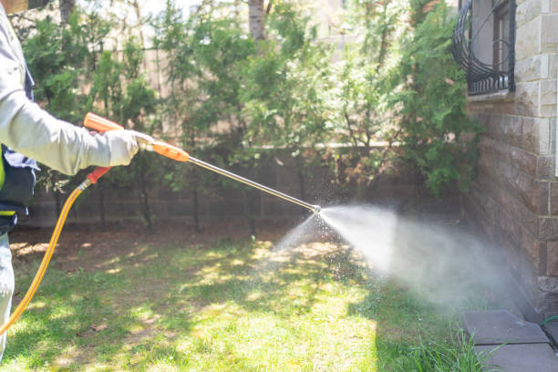 Best Local Pest Control Services  in Sand Hill, PA